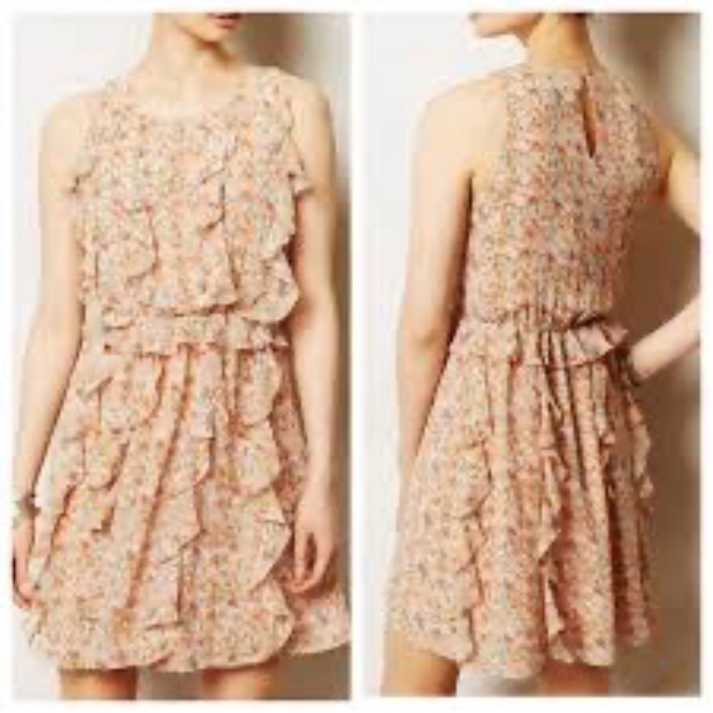 Anthropologie Sanchin + Babi Senna Floral Ruffle Dress Sz 2